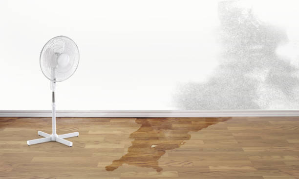 Best Commercial water damage restoration  in Palmer, AK