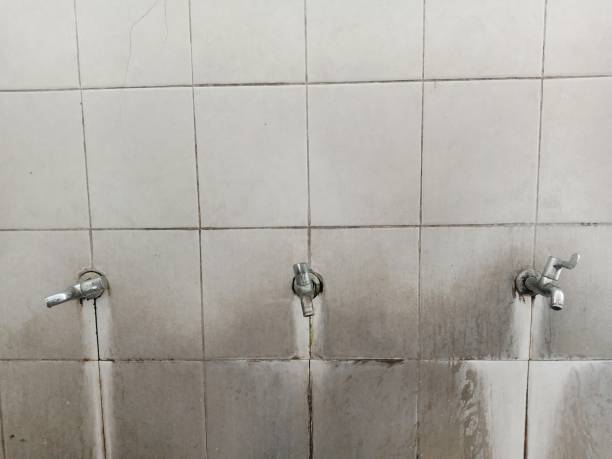 Best Mold removal after water damage  in Palmer, AK